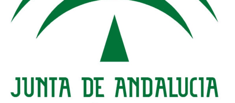 CONSEJERÍA PARA LA IGUALDAD Y EL BIENESTAR SOCIAL  JUNTA DE ANDALUCÍA